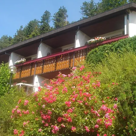 天空赖希膳食公寓酒店 3*