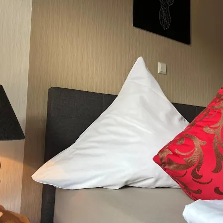 招待所 天空赖希膳食公寓酒店 3*