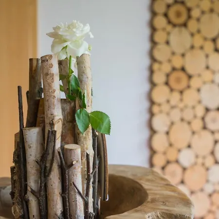 招待所 天空赖希膳食公寓酒店 格拉特